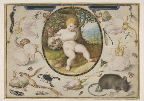 Mostra Early Netherlandish drawings
