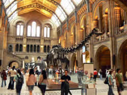 Cosa vedere a Londra
