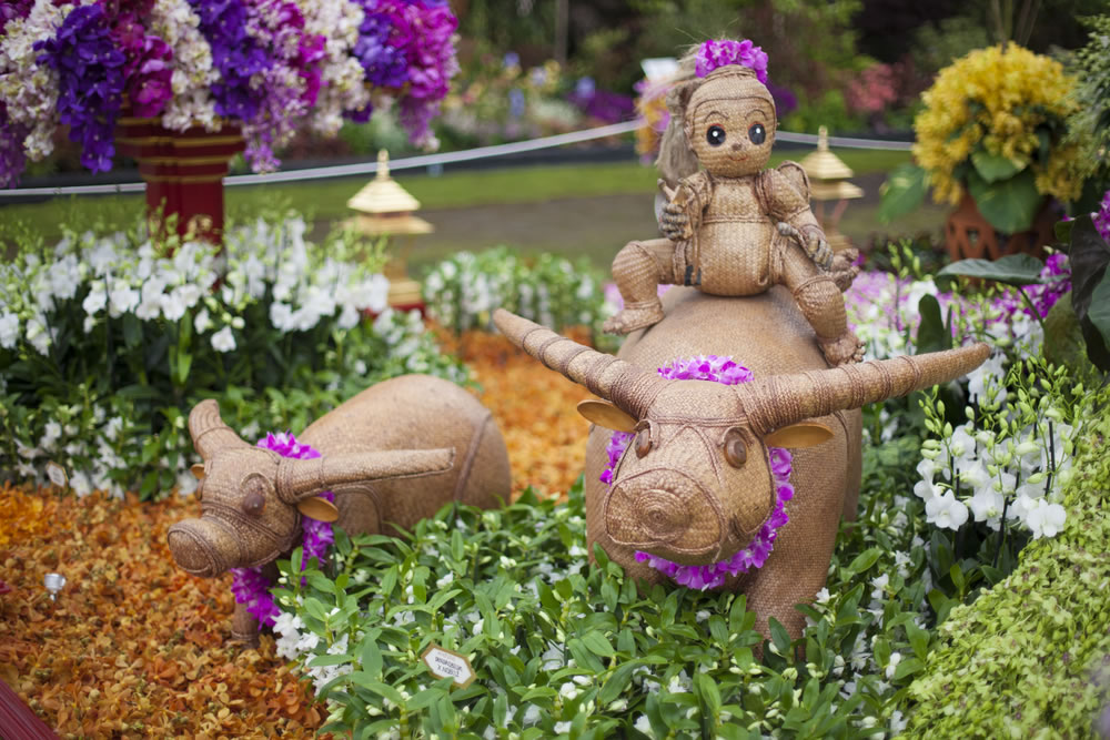 Chelsea Flower Show 2013