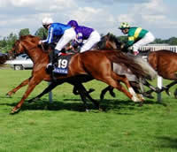 Biglietti Royal Ascot