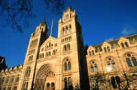 Lo splendido edificio neogotico che ospita il Natural History Museum Natural History Museum Londra
