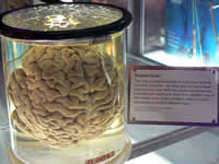 Science Museum