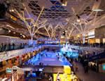 Westfield Ice Rink