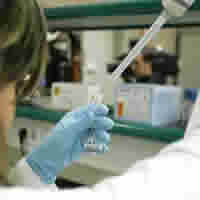 Influenza Suina Londra