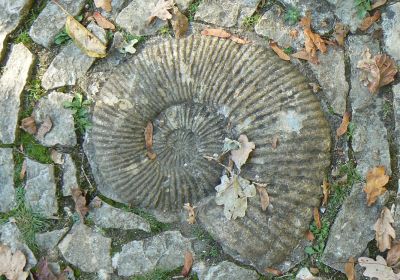 Glastonbury Chalice Well