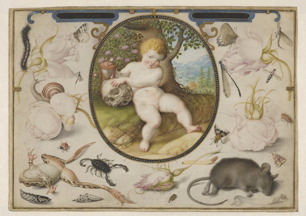 Mostra Early Netherlandish drawings