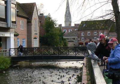 Salisbury
