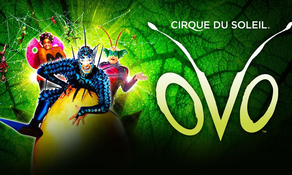 Cirque du Soleil Ovo