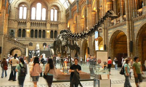 Risultati immagini per museo storia naturale londra