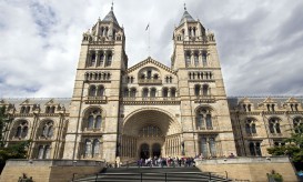 Natural History Museum © The Trustees of the Natural History Museum, London [2017]. All rights reserved