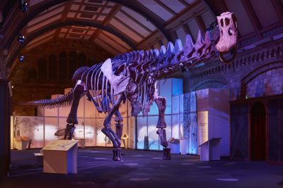 Mostra Titanosaur Londra