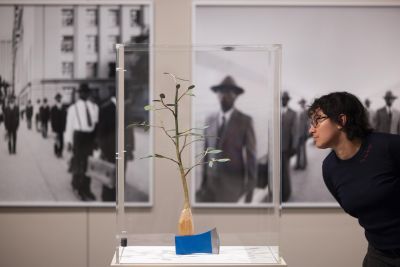 Installation View by David Parry for the V&A