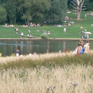 Hampstead Heath