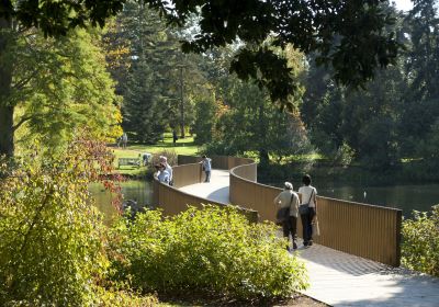 Lake and Sackler Crossing. Credit: RBG Kew