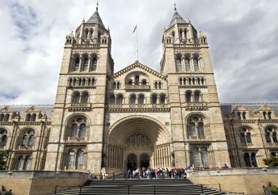 Museo di Storia Naturale Londra © The Trustees of the Natural History Museum, London [2017]. All rights reserved