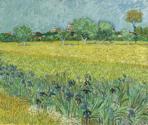 Vincent van Gogh, Field with Irises near Arles, 1888. Oil on canvas, 54 x 65 cm. Van Gogh Museum, Amsterdam (Vincent van Gogh Foundation)