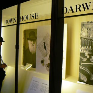 Natural History Museum © PGoduto