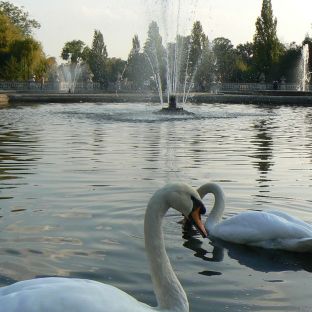 Italians Gardens, Kensington Gardens