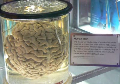 Science Museum