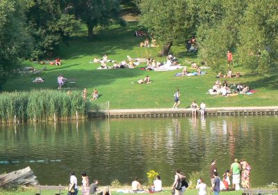 Hampstead Heath