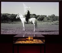Gallery view of the Marina Abramović exhibition  showing The Hero, 2001.