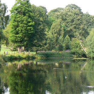 Hampstead Heath