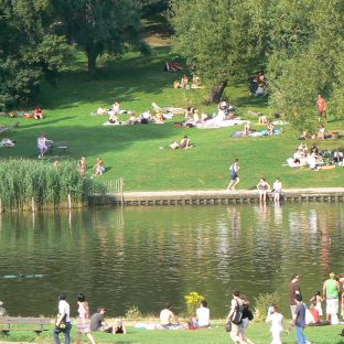 Hampstead Heath