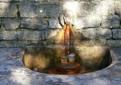 Glastonbury Chalice Well