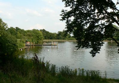 Hampstead Heath