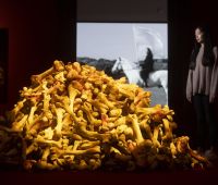 © Marina Abramović. Photo