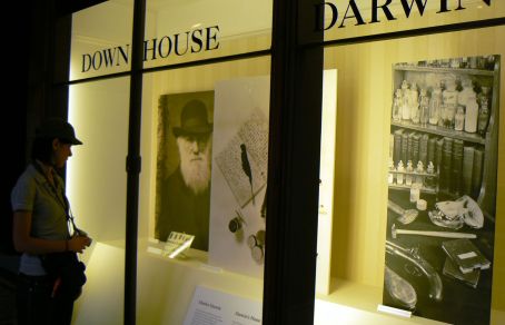 Visita al Museo di Londra con una guida italiana