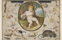 Mostra Early Netherlandish drawings
