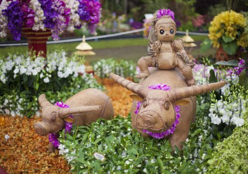 Chelsea Flower Show 2026