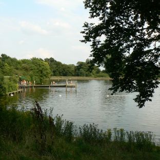 Hampstead Heath