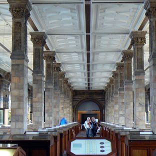 Natural History Museum © PGoduto