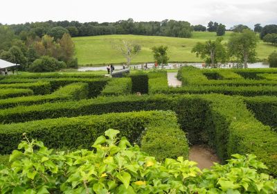 Il labirinto di siepi, al castello di Leeds © AlexandreFagundes