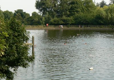 Hampstead Heath