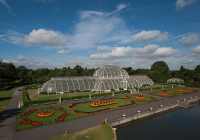 Palm House, Kew Gardens