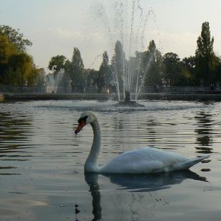 Italians Gardens, Kensington Gardens