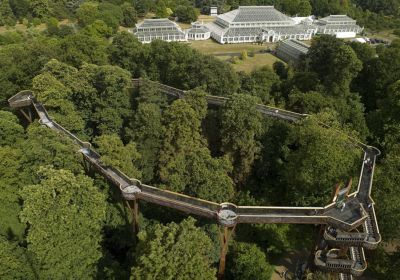 Treetop Walkway, Kew Gardens