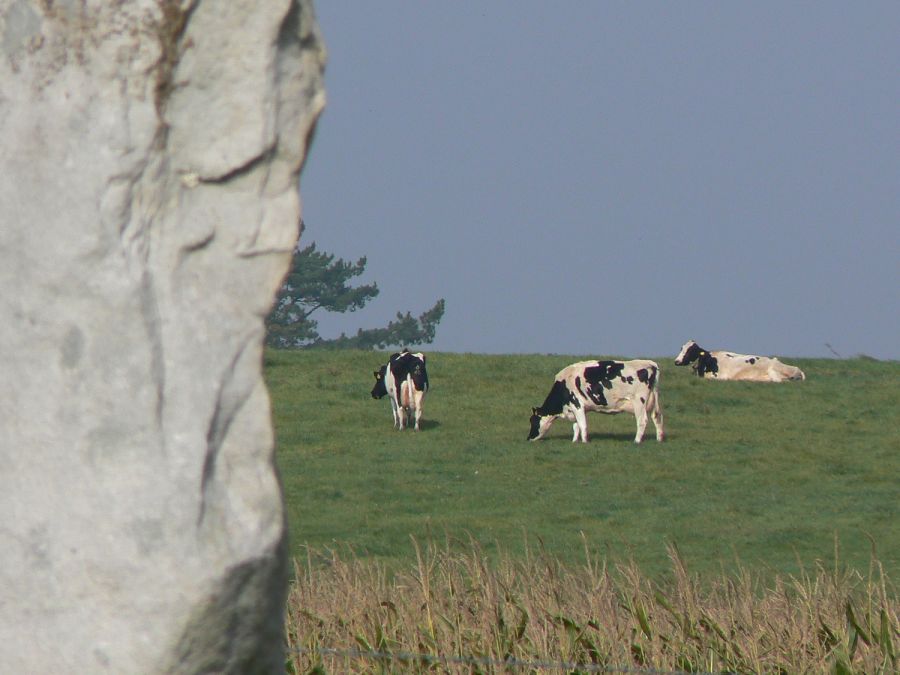 Il sito archeologico di Avebury immerso nel verde della campagna del Wiltshire