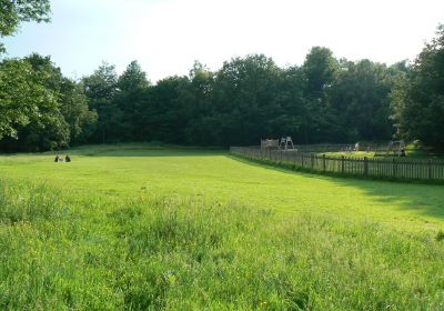 Hampstead Heath