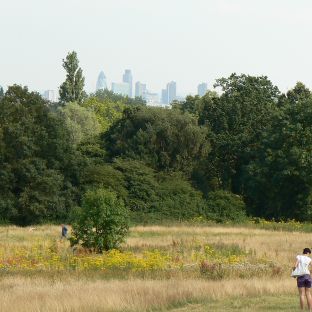 Hampstead Heath