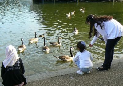 Serpentine Lake ad Hyde Park