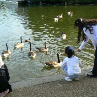 Serpentine Lake ad Hyde Park