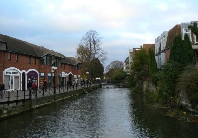 Salisbury