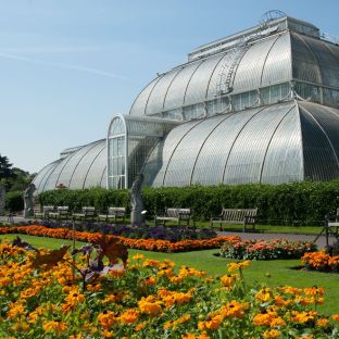 Palm House a Kew Gardens