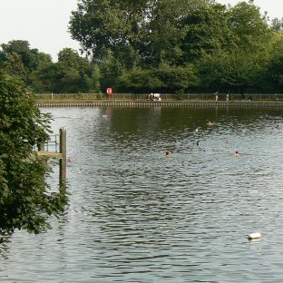 Hampstead Heath
