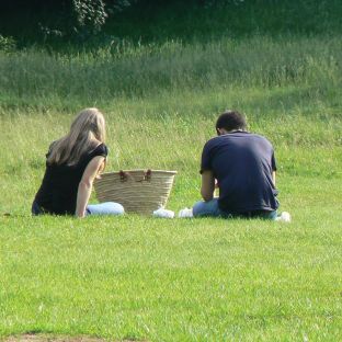 Hampstead Heath