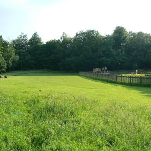 Hampstead Heath